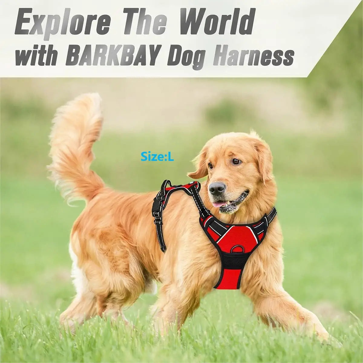 No-Pull Dog Harness – Reflective, Front Clip, Heavy Duty for All Sizes