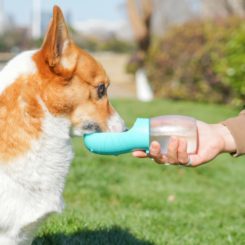 Portable Pet Water Bottle with Drinking Bowl – Travel Hydration for Dogs & Cats