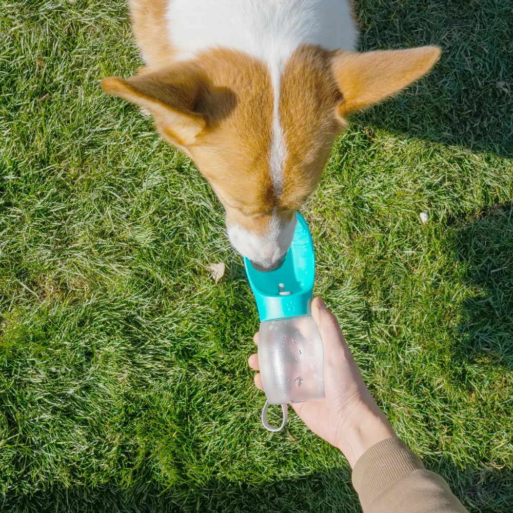 Portable Pet Water Bottle with Drinking Bowl – Travel Hydration for Dogs & Cats
